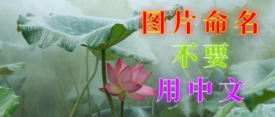 这个在网页里一般看不到，可以写中文